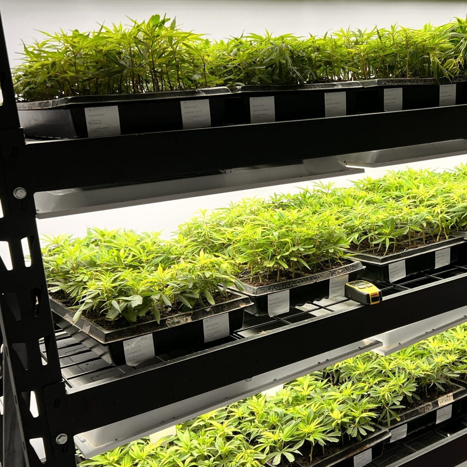 A6975996-409D-4368-8B40-493B4C6273A1 (1)